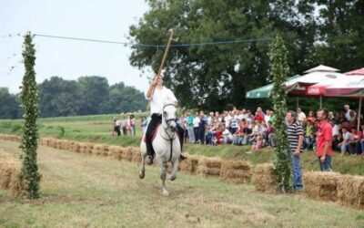 8. Šokačka alka – Selci Đakovački / 28. i 29. 7. 2018.