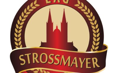 LAG-U ,,STROSSMAYER“ DODIJELJENO DODATNIH 3.819.924,87 HRK ZA PRIJELAZNO RAZDOBLJE