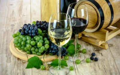 Blagdan sv. Vinka – početak vinogradarske godine