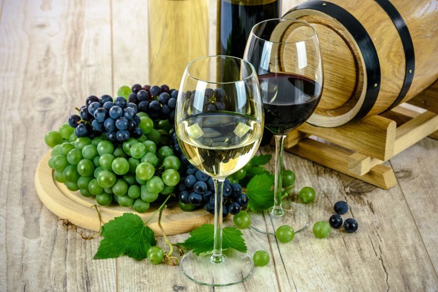 Blagdan sv. Vinka – početak vinogradarske godine