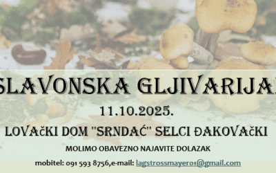 5. Slavonska gljivarijada